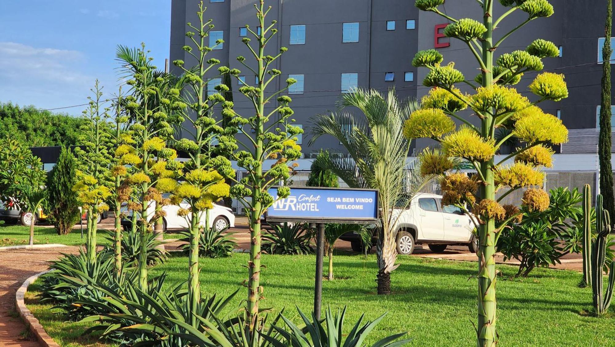 Wr Confort Hotel Campo Grande Dış mekan fotoğraf