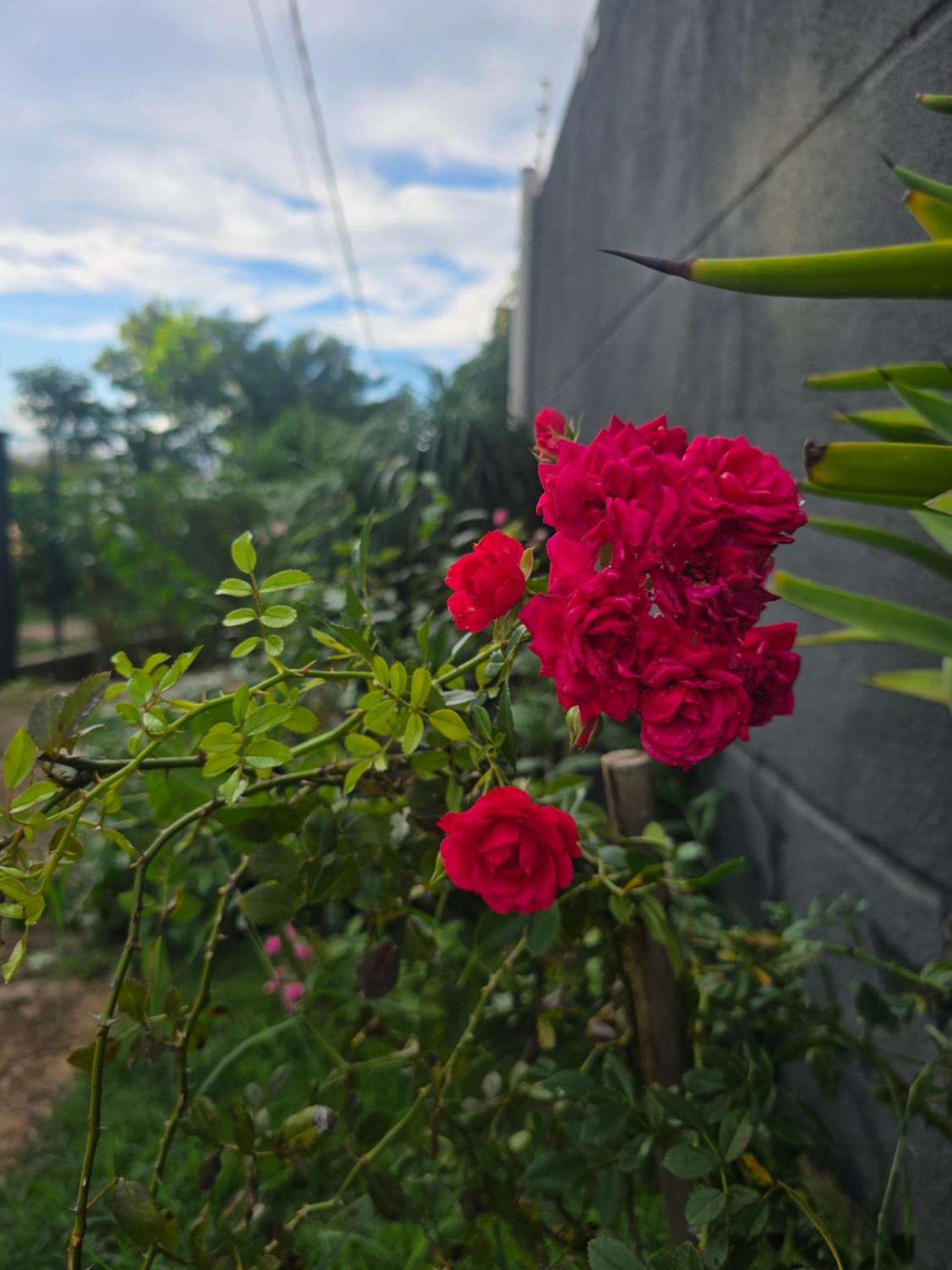 Wr Confort Hotel Campo Grande Dış mekan fotoğraf